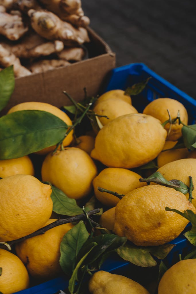 Freshly harvested lemons in a blue crate at a market in Erfurt, Germany.